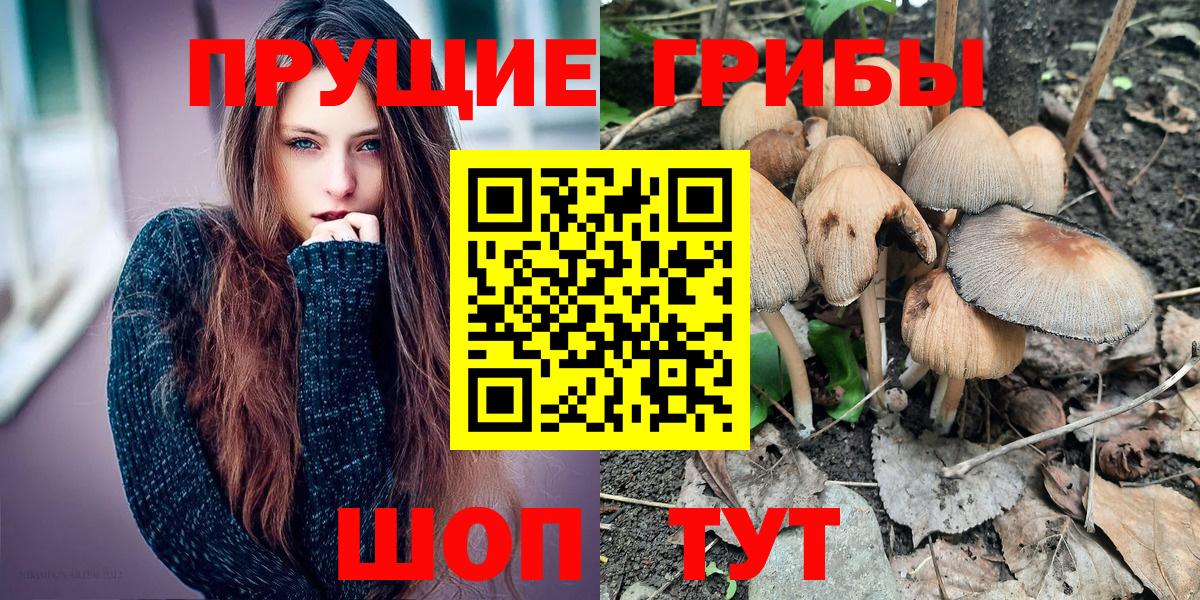 Псилоцибиновые грибы Magic Shrooms Донской