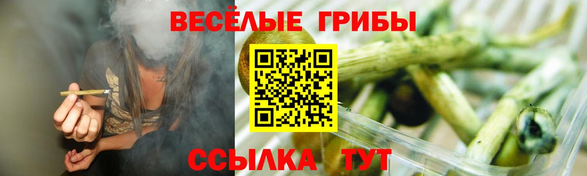 Донской  Галлюциногенные грибы прущие грибы  Вход с VPN 